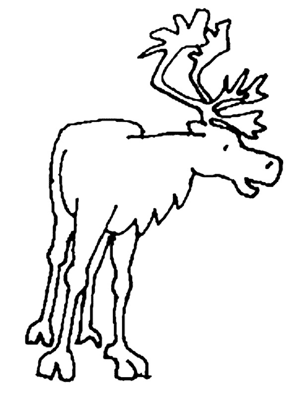 Un caribou majestueux au milieu d'un paysage naturel