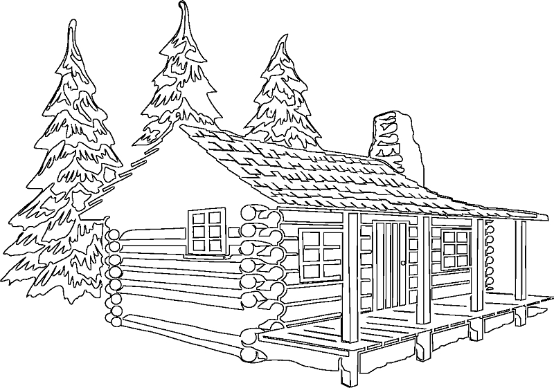 Chalet en bois entouré de sapins sous un ciel dégagé