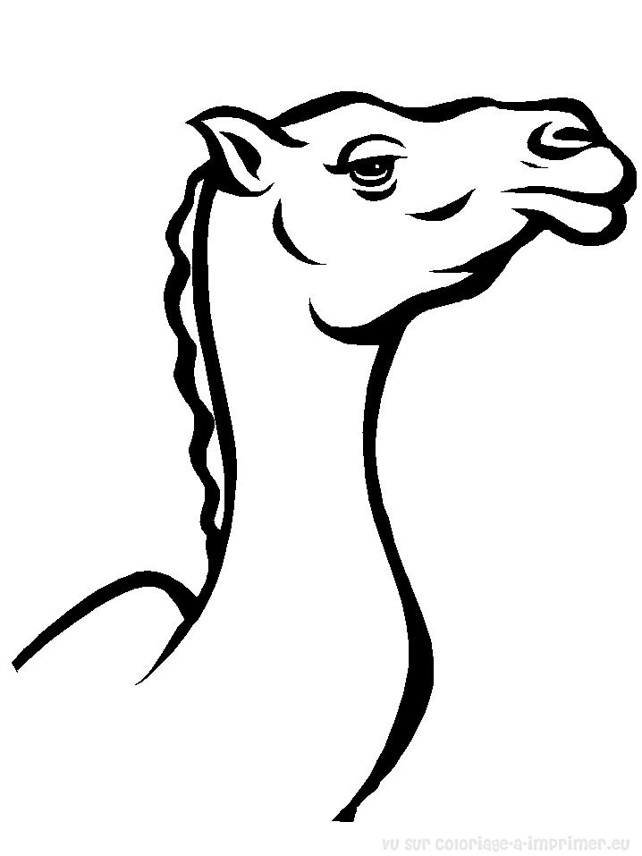 Coloriage d'un chameau dans un désert