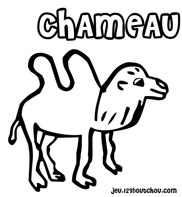 Coloriage d'un chameau dans un paysage désertique