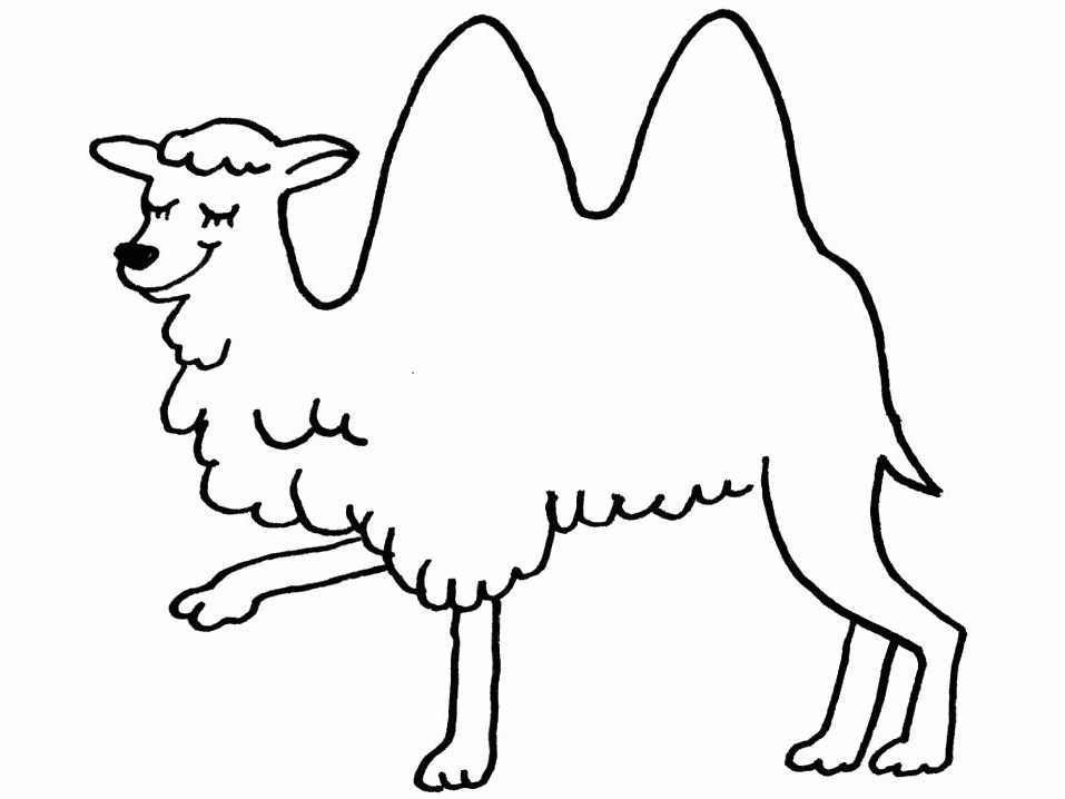 Coloriage d'un chameau se reposant dans le désert