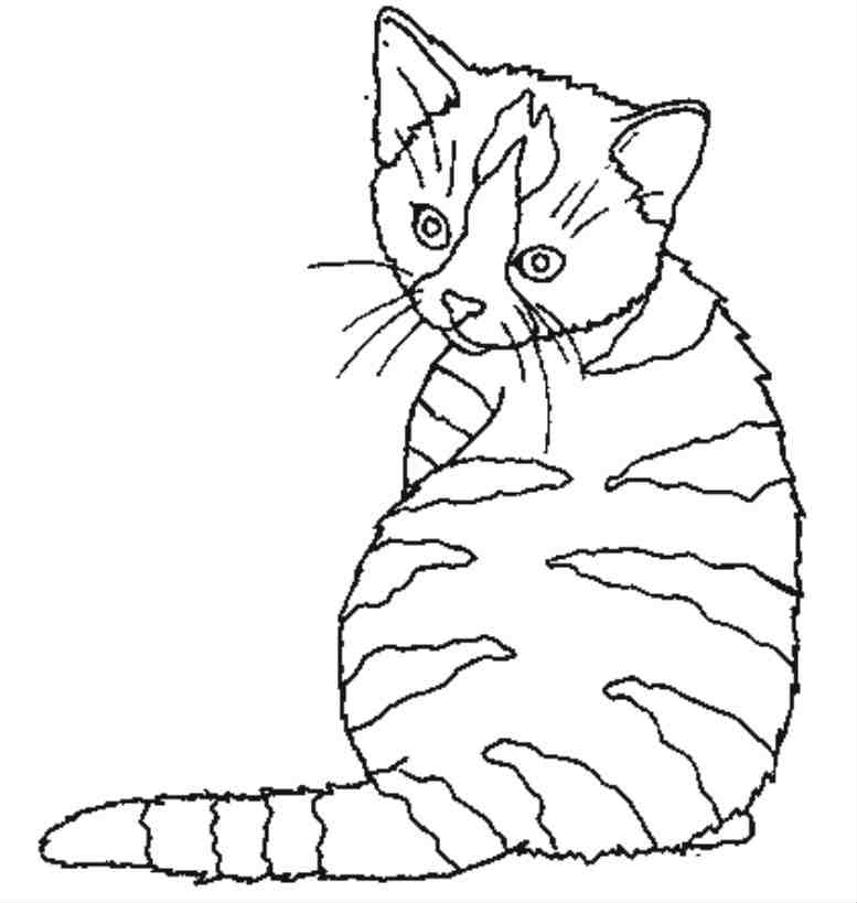 Un chat espiègle s'étire sur un coussin moelleux Un chat espiègle s'étire sur un coussin moelleux