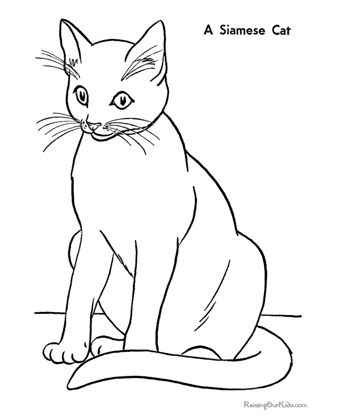 Un chat curieux assis sur un coussin moelleux