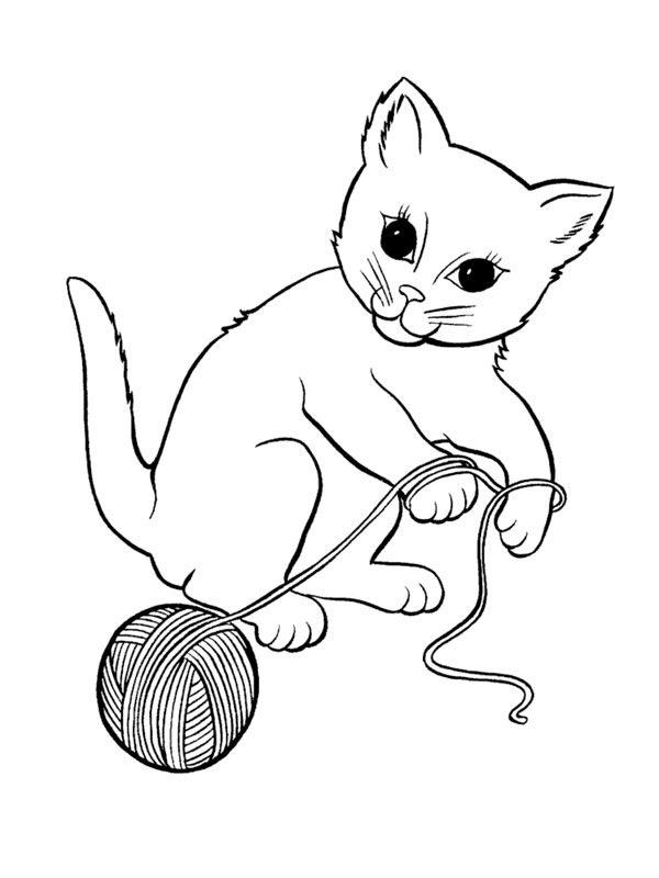 Chat assis sur un coussin, entouré de jouets