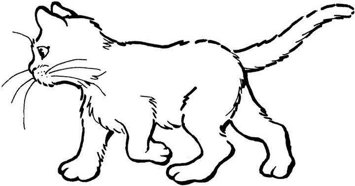 Un chat curieux explorant un jardin fleuri