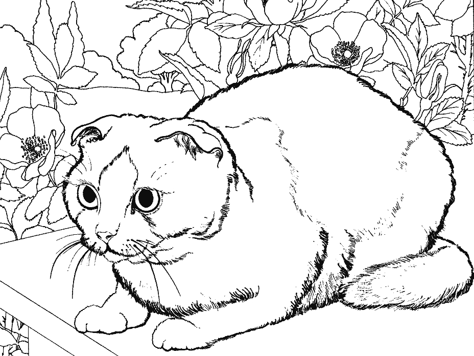 Un chat assis dans un jardin fleuri entouré de nature