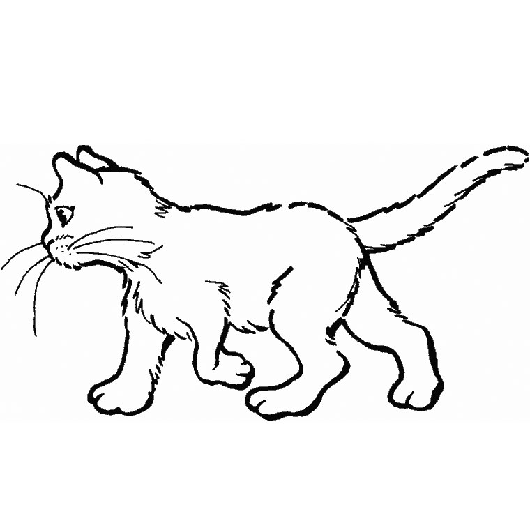 Un chat espiègle se prélassant sur un coussin moelleux