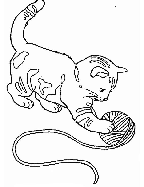 Un chat assis paisiblement sur un coussin moelleux
