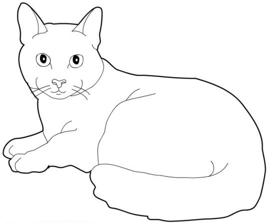 Un chat espiègle se prélasse sur un coussin moelleux