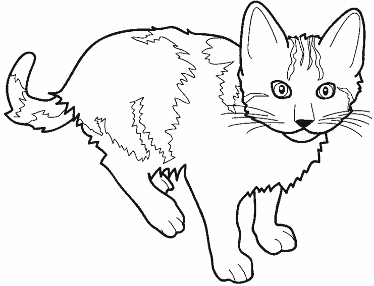 Un chat espiègle s'étirant sur un coussin moelleux
