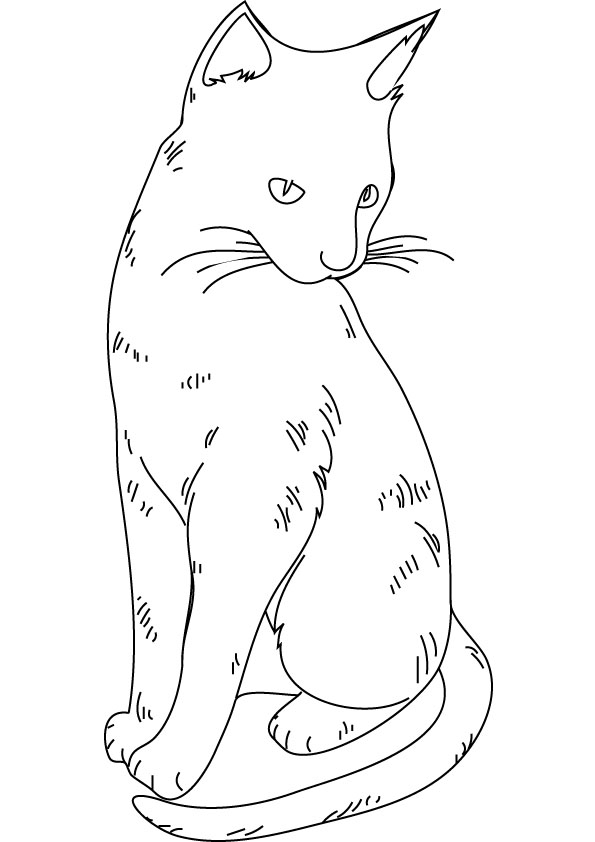 Un chat espiègle se prélassant sur un coussin moelleux