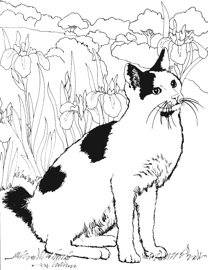 Un chat curieux explorant un jardin fleuri