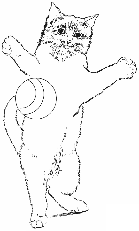 Chat en train de jouer avec une pelote de laine sur un tapis