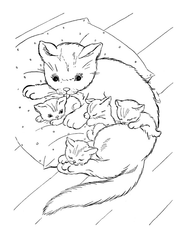 Un chat espiègle assis sur un coussin moelleux