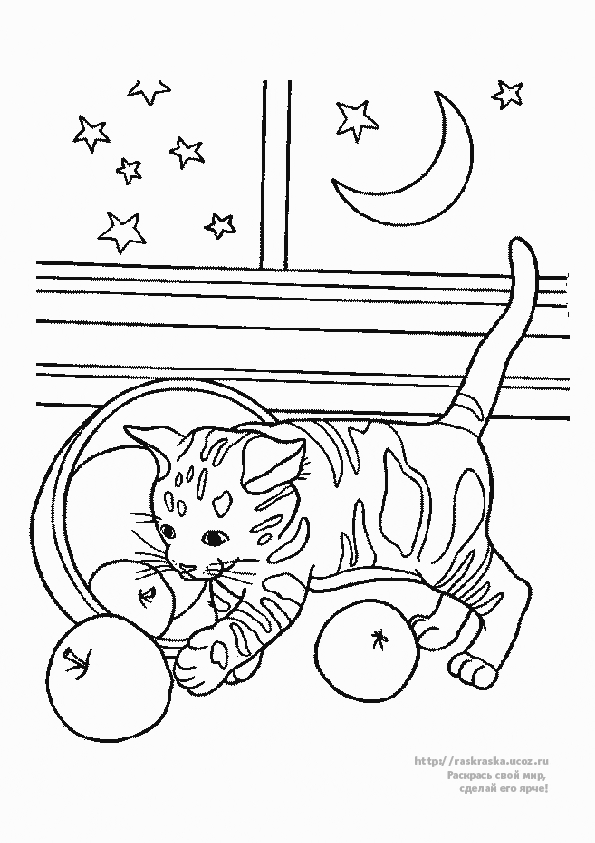 Un chat joueur explorant un jardin fleuri