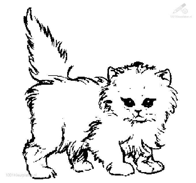 Un chat curieux assis dans un jardin fleuri