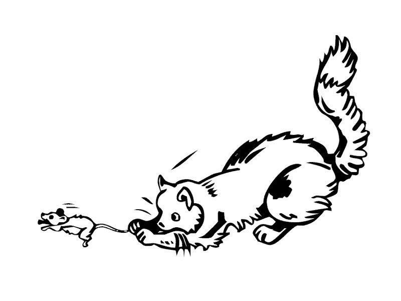 Un chat curieux en pleine exploration dans un jardin