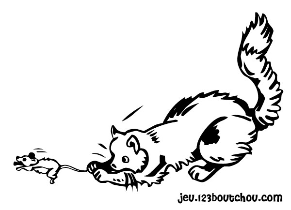 Un chat se prélasse dans un jardin fleuri