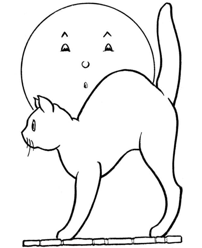 Un chat curieux se prélassant au soleil