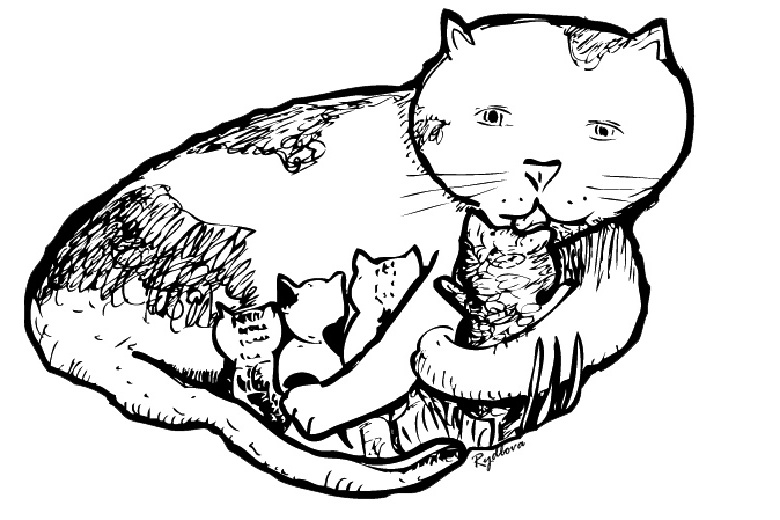 Un chat espiègle jouant avec une pelote de laine