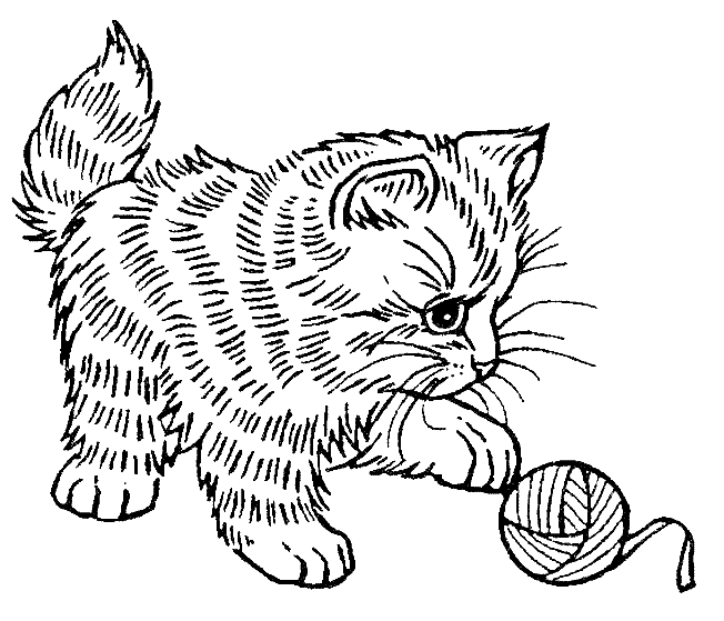 Un chaton curieux explorant un environnement naturel