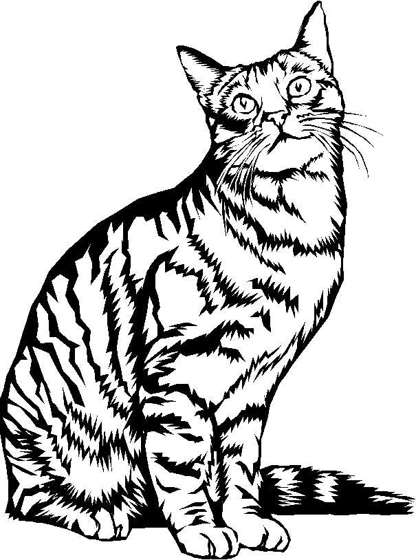 Un chaton curieux explorant un jardin fleuri