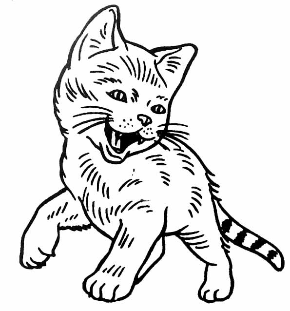 Un chaton curieux au milieu d'un jardin fleuri
