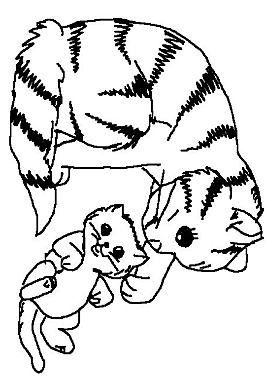 Un chaton curieux jouant avec une pelote de laine