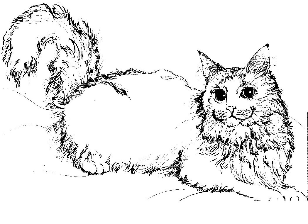 Un chaton curieux explorant un jardin fleuri