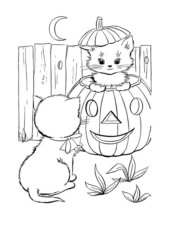 Un adorable chaton joue dans un jardin fleuri