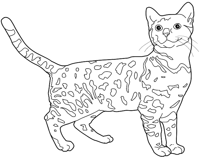 Un chaton joueur explorant un jardin fleuri