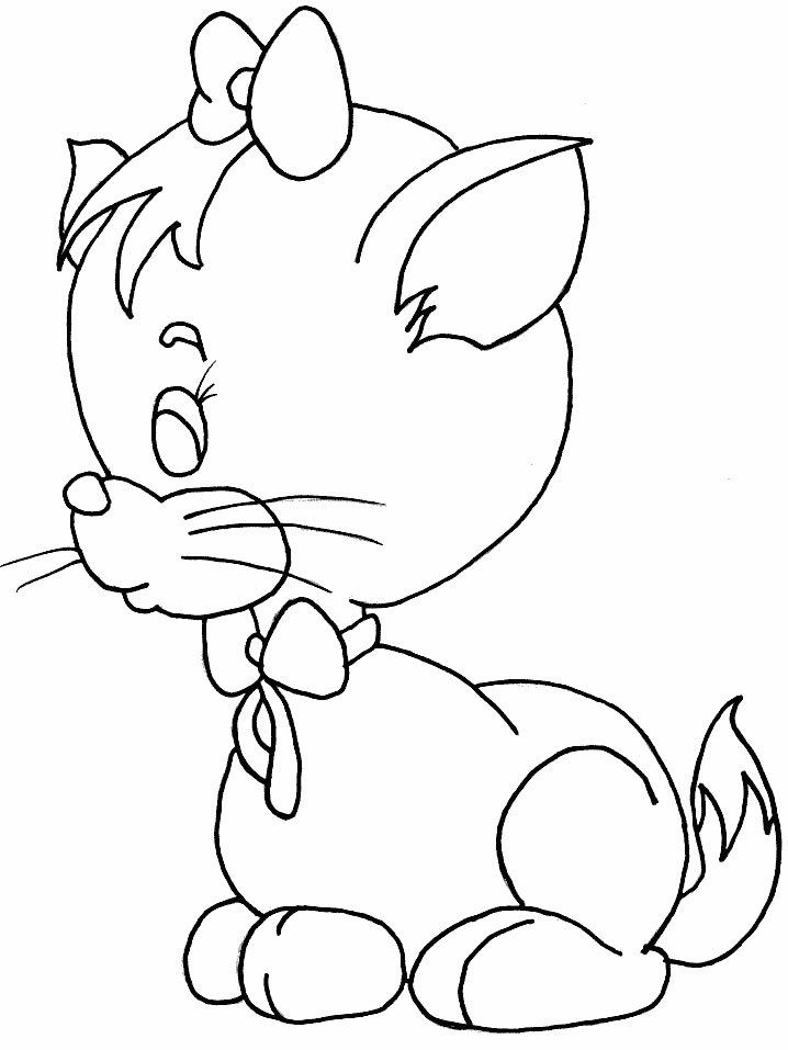 Un chaton joueur au milieu de jouets colorés