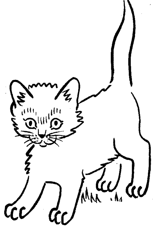 Un chaton joueur s'amusant avec une pelote de laine