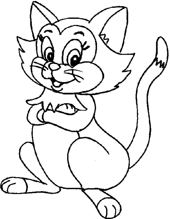 Un chaton joueur sur un tapis moelleux
