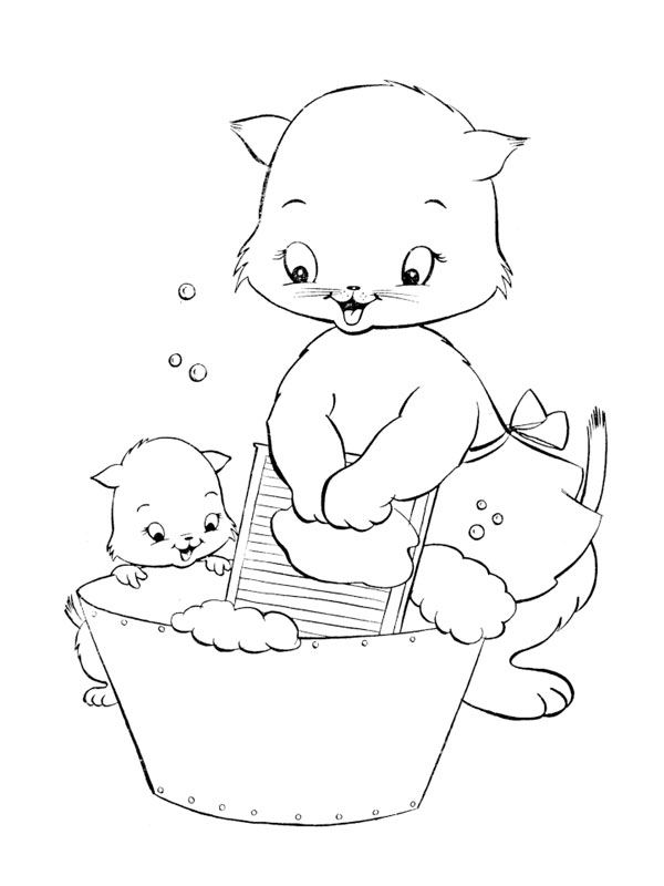 Un chaton curieux explore son environnement