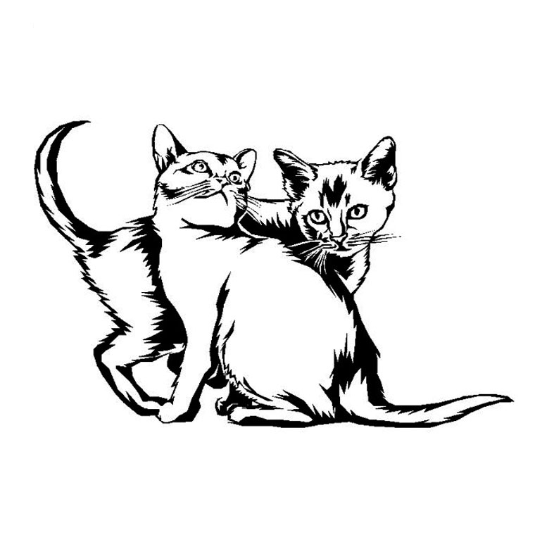Un chaton mignon jouant avec une pelote de laine