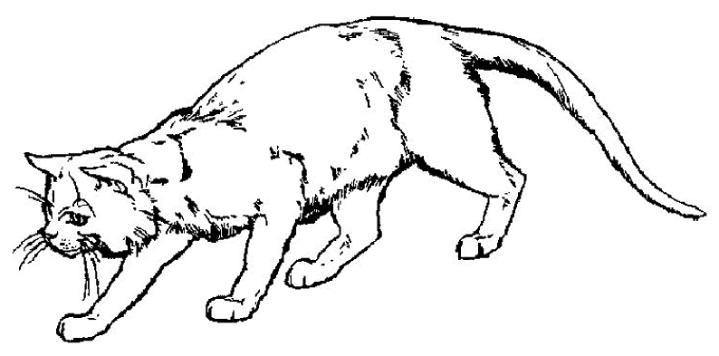 Un chaton curieux jouant parmi des fleurs