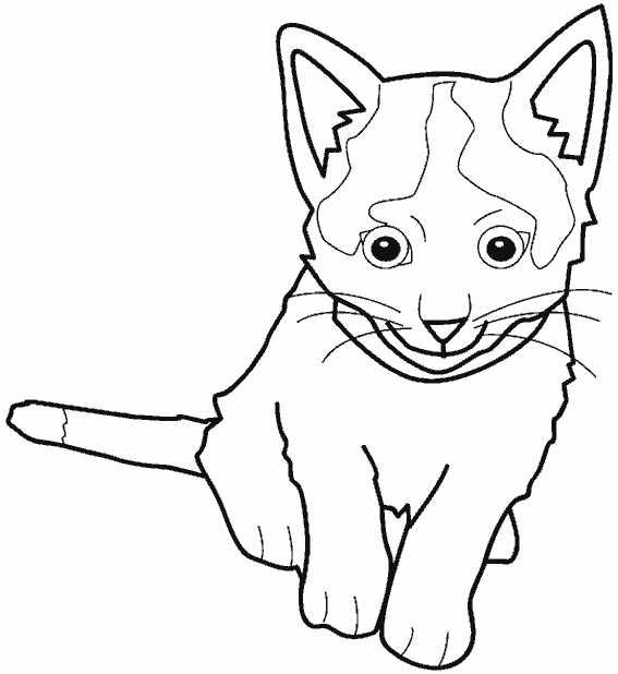 Un chaton curieux jouant avec une pelote de laine dans un jardin