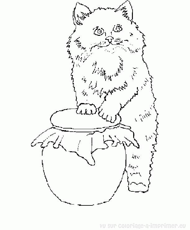 Un chaton espiègle jouant parmi des fleurs