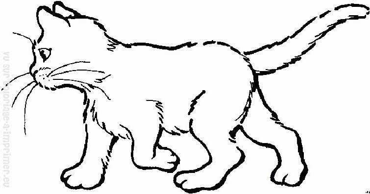 Un chaton espiègle jouant avec une pelote de laine