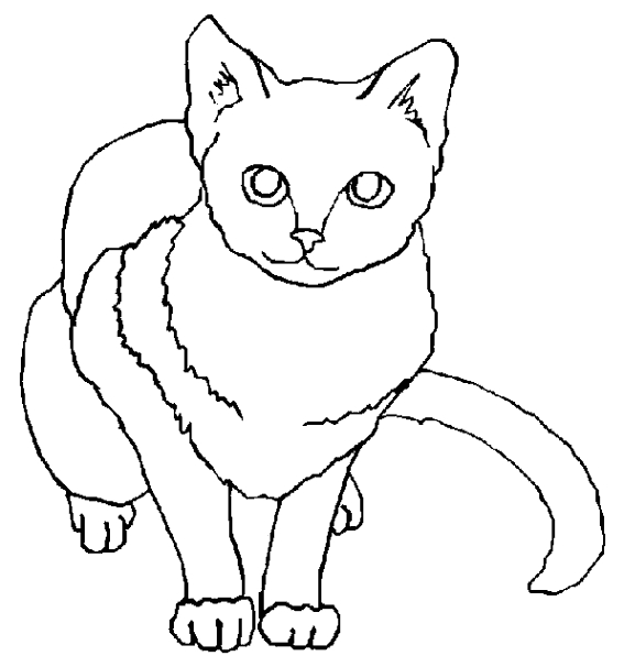 Un chaton espiègle jouant avec une pelote de laine