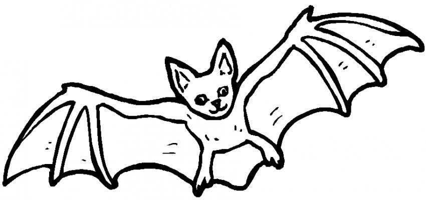 Coloriage d'une chauve-souris en vol sous un ciel étoilé Coloriage d'une chauve-souris en vol sous un ciel étoilé