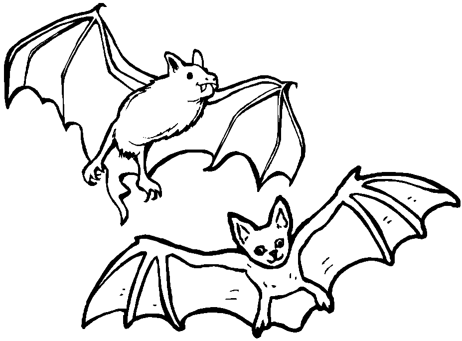 Coloriage d'une chauve-souris dans un ciel nocturne Coloriage d'une chauve-souris dans un ciel nocturne