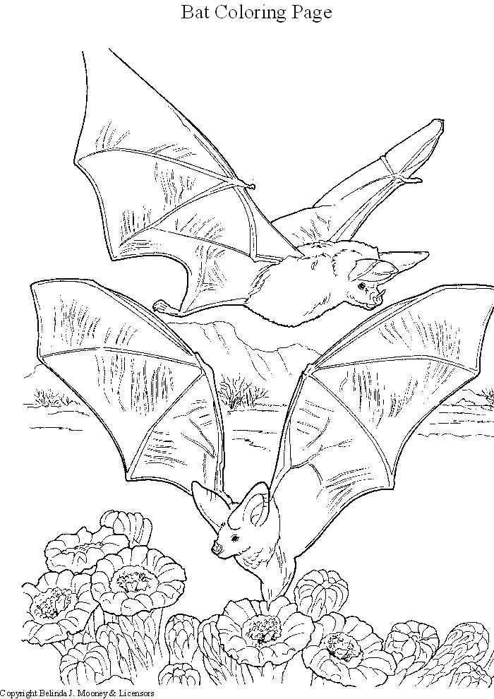 Coloriage d'une chauve-souris dans un ciel nocturne Coloriage d'une chauve-souris dans un ciel nocturne
