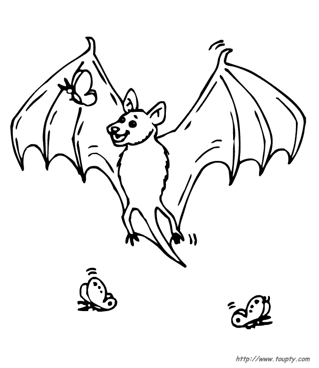 Coloriage d'une chauve-souris dans un cadre nocturne Coloriage d'une chauve-souris dans un cadre nocturne