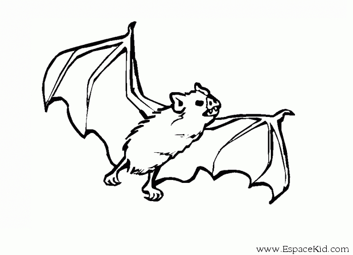 Coloriage d'une chauve-souris en vol dans un ciel nocturne Coloriage d'une chauve-souris en vol dans un ciel nocturne