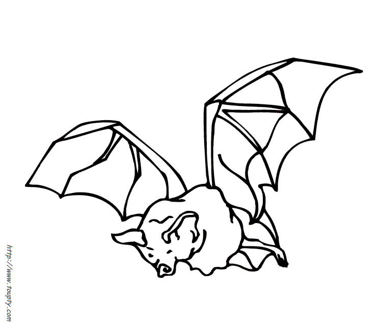 Coloriage d'une chauve-souris en vol dans un ciel nocturne Coloriage d'une chauve-souris en vol dans un ciel nocturne