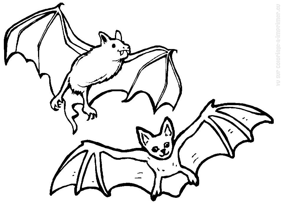Coloriage d'une chauve-souris dans un ciel nocturne Coloriage d'une chauve-souris dans un ciel nocturne