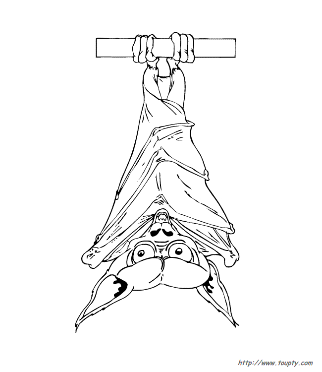 Coloriage d'une chauve-souris en vol dans un décor nocturne Coloriage d'une chauve-souris en vol dans un décor nocturne