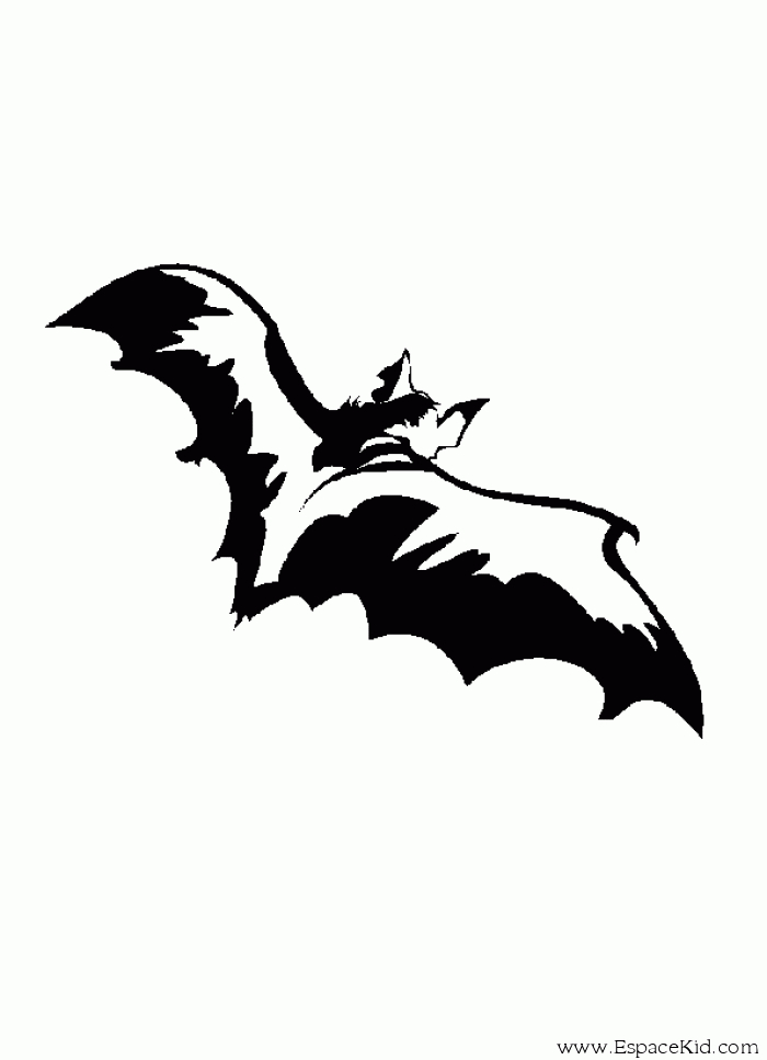 Chauve-souris en vol nocturne sur fond de ciel étoilé Chauve-souris en vol nocturne sur fond de ciel étoilé